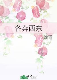 网贷逾期可以坐高铁吗？怎么办呢？